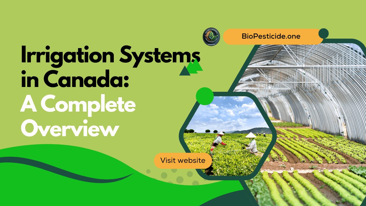 Irrigation Systems in Canada A Complete Overview