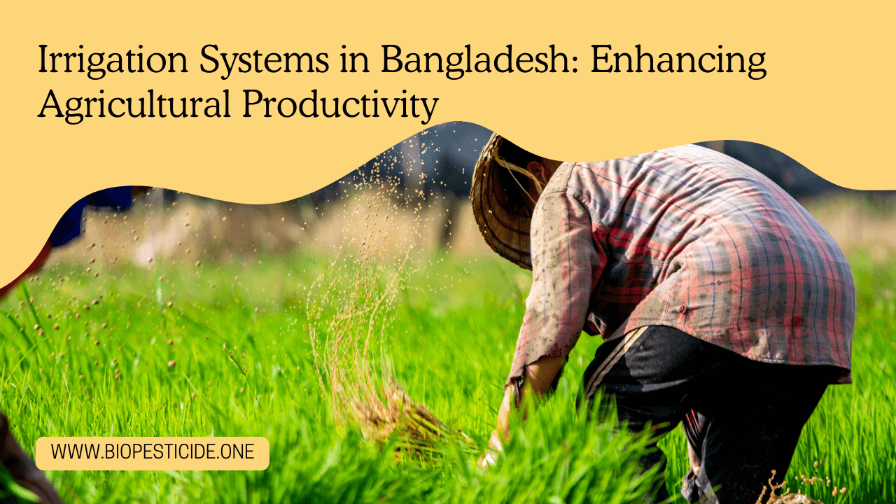 Irrigation Systems in Bangladesh Enhancing Agricultural Productivity