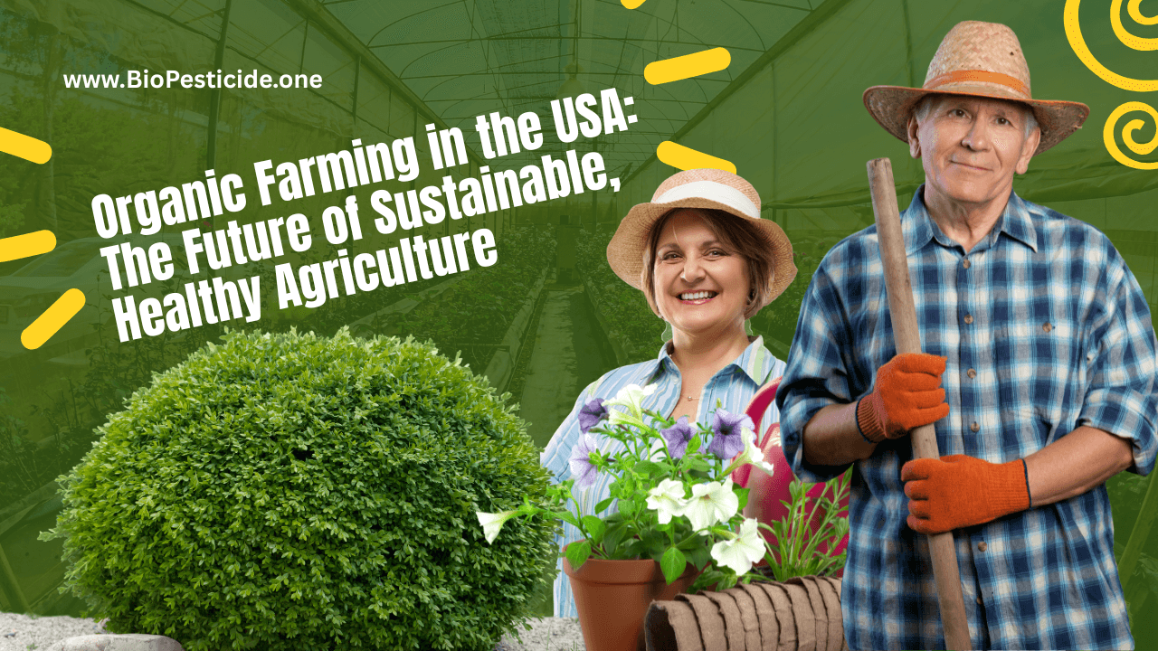 Organic Farming in the USA: The Future of Sustainable, Healthy Agriculture